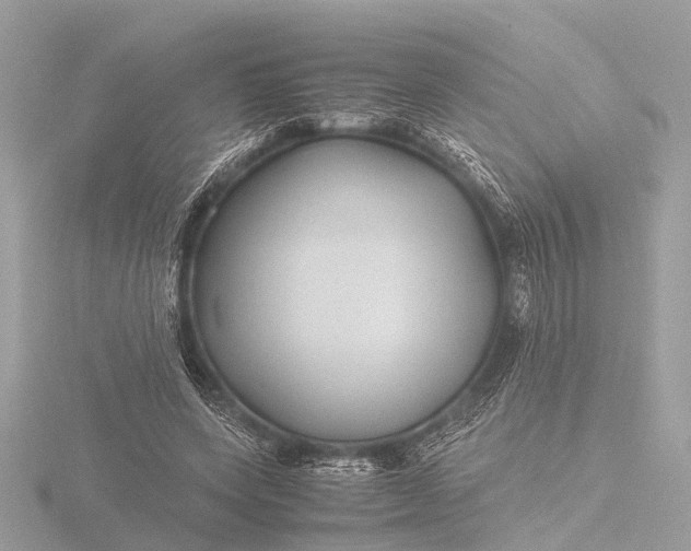 X0000116440543200912221527