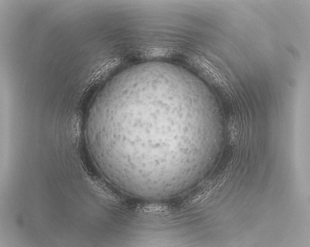 X0000116440546200912221527