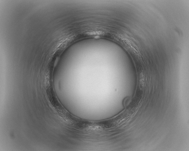 X0000116440547200912221527