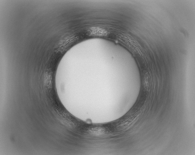 X0000116440551200912221527