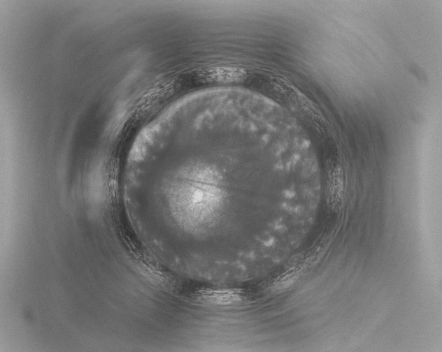 X0000116440553200912221527