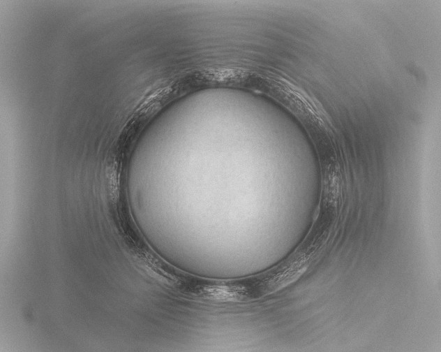 X0000116440558200912221527