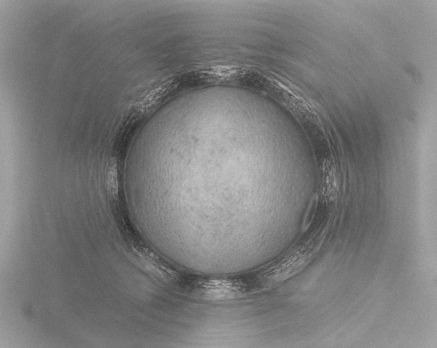 X0000116440562200912221527