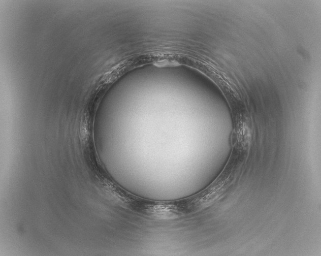 X0000116440566200912221527