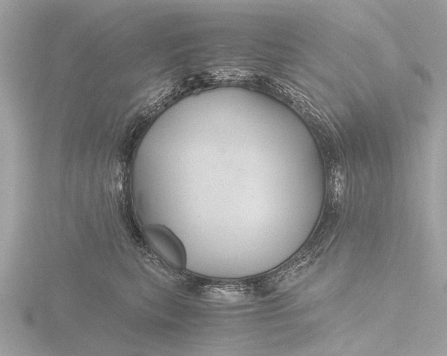 X0000116440567200912221527