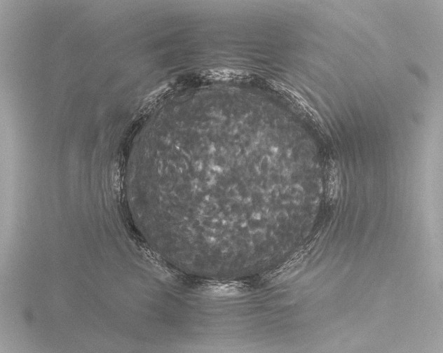 X0000116440569200912221527
