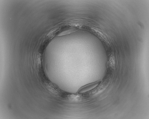 X0000116440570200912221527