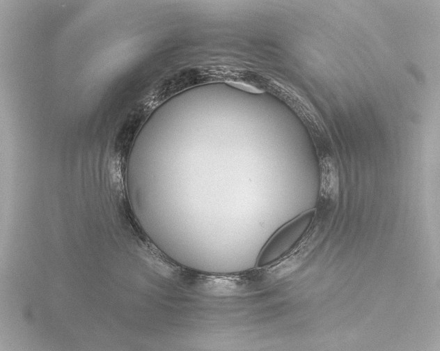 X0000116440573200912221527