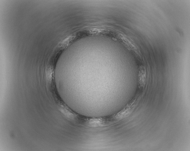 X0000116440574200912221527