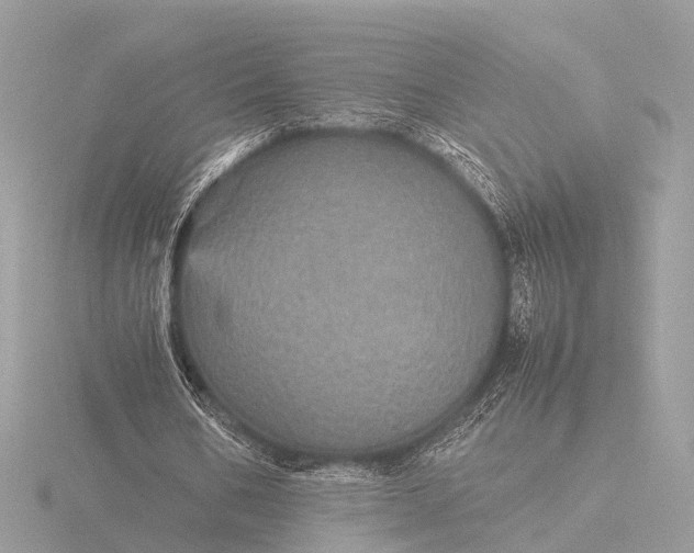 X0000116440578200912221526