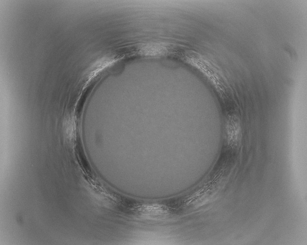 X0000116440583200912221526