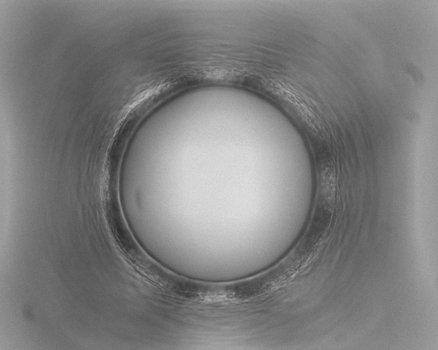 X0000116440587200912221526