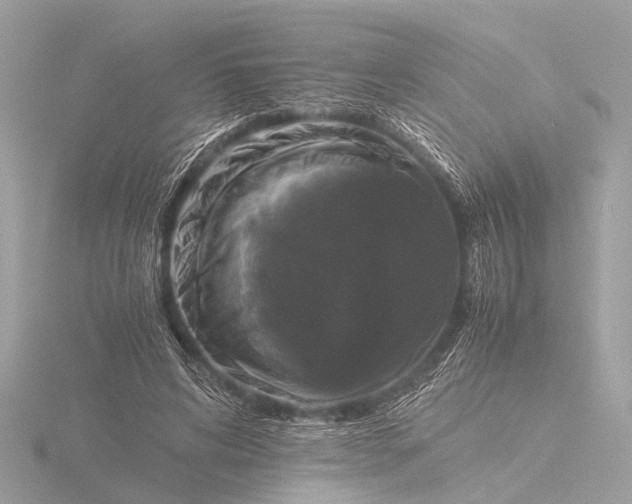 X0000116440592200912221526