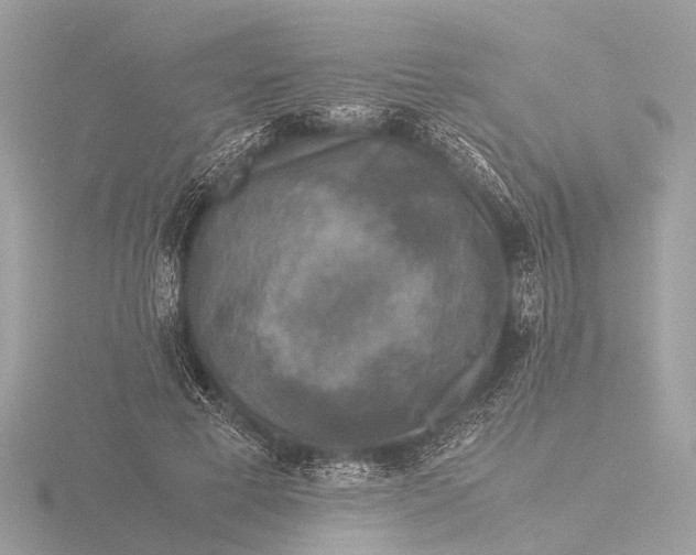 X0000116440593200912221526