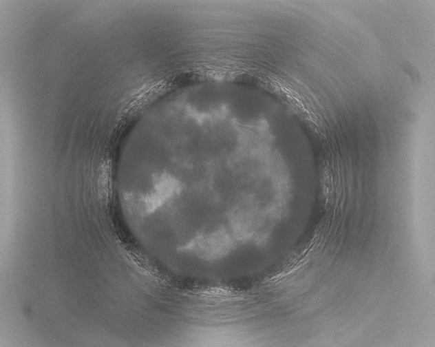 X0000116440594200912221526