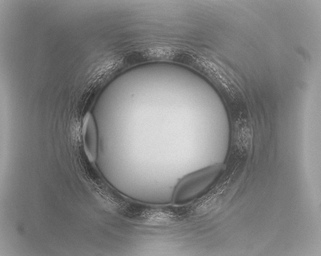 X0000116440597200912221526