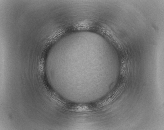 X0000116440604200912221526
