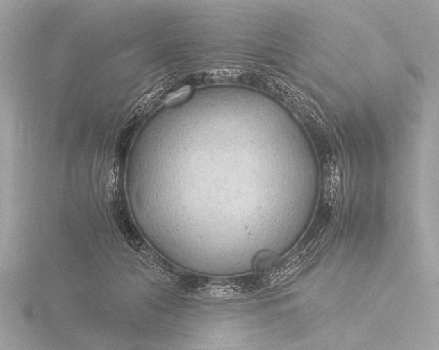 X0000116440608200912221526