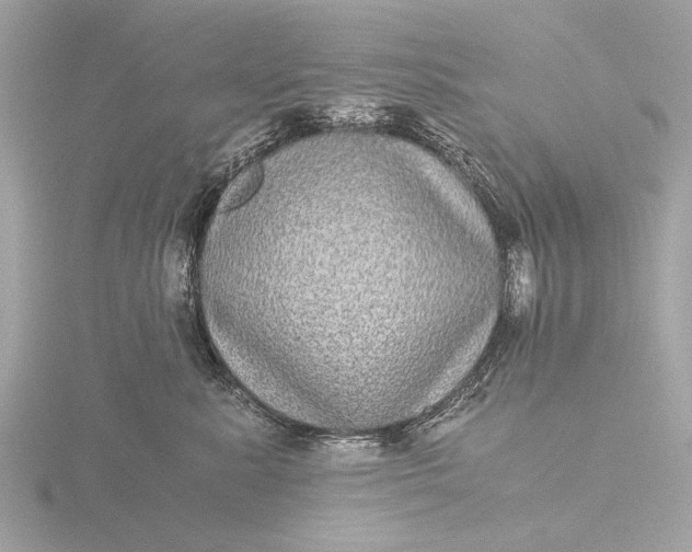 X0000116440619200912221526