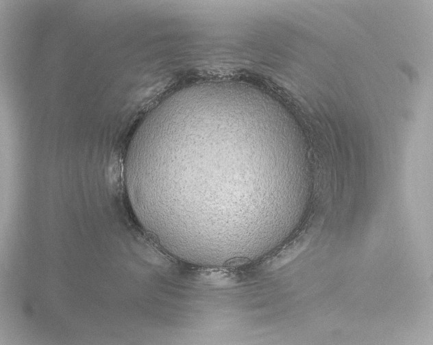 X0000116440624200912221526