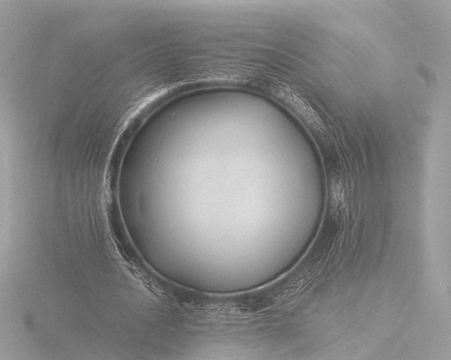 X0000116440628200912221525