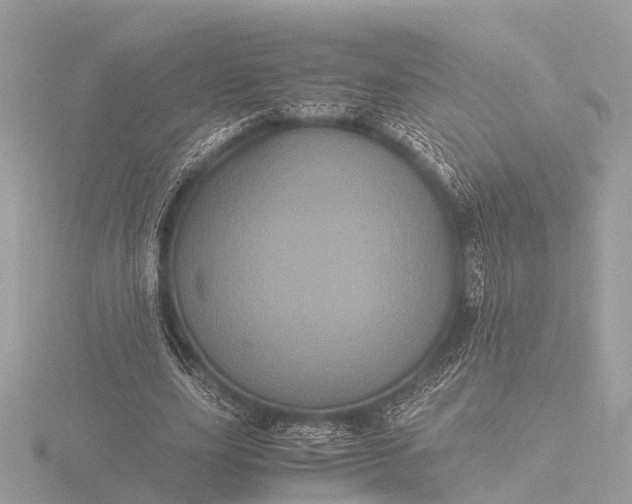 X0000116440631200912221525