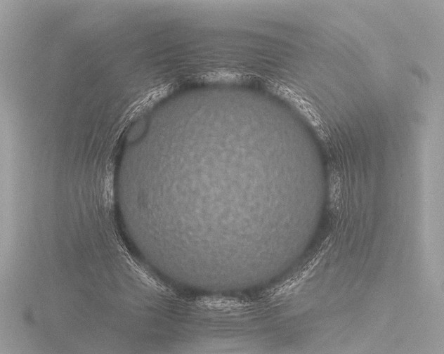 X0000116440633200912221525