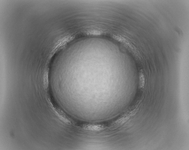 X0000116440638200912221525