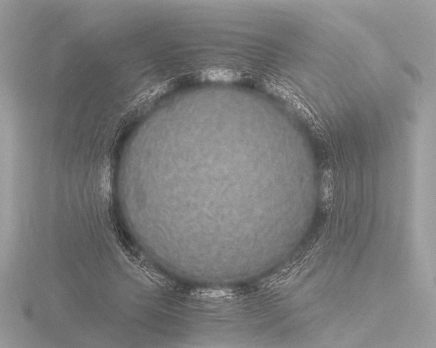 X0000116440639200912221525