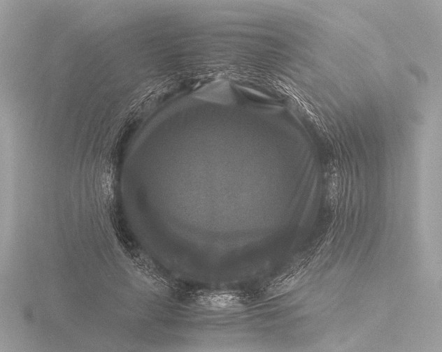 X0000116440643200912221525