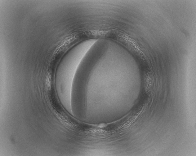 X0000116440644200912221525
