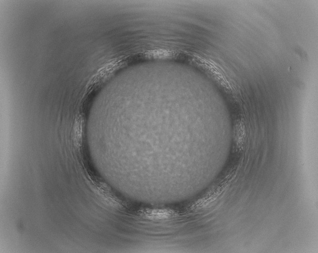 X0000116440645200912221525