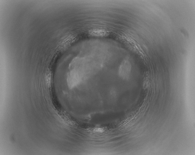 X0000116440647200912221525