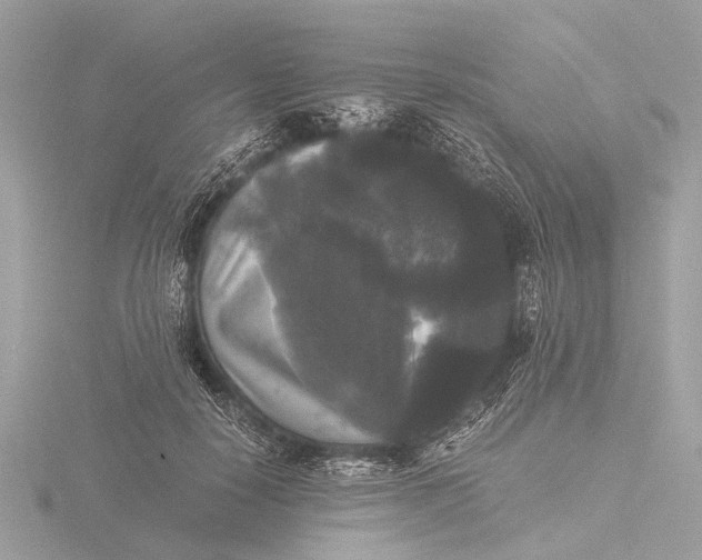 X0000116440650200912221525