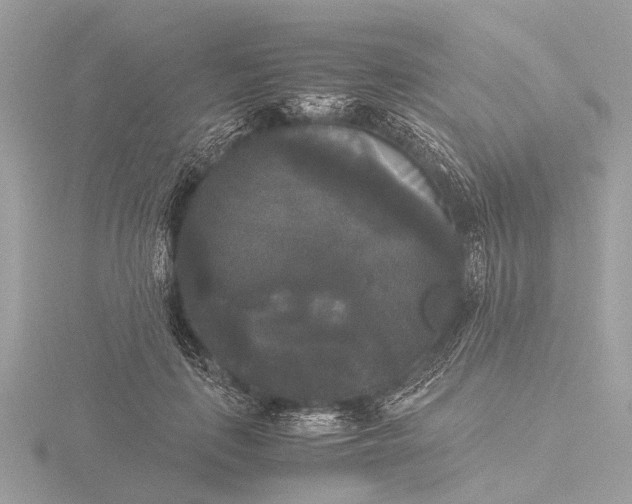 X0000116440651200912221525