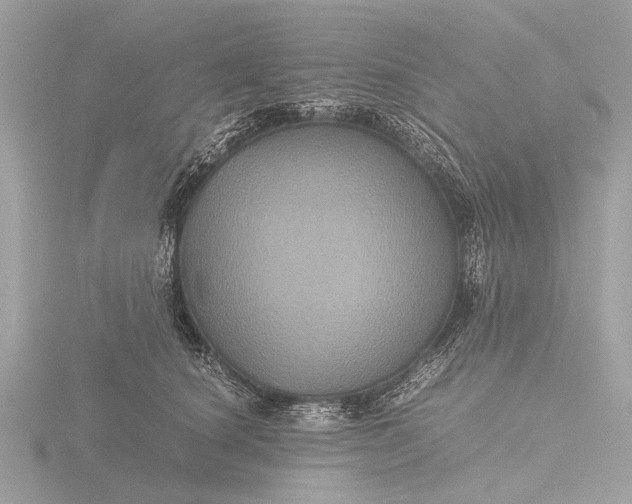 X0000116440660200912221526