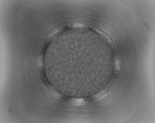 X0000116440665200912221526
