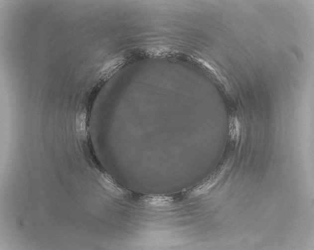 X0000116440670200912221526