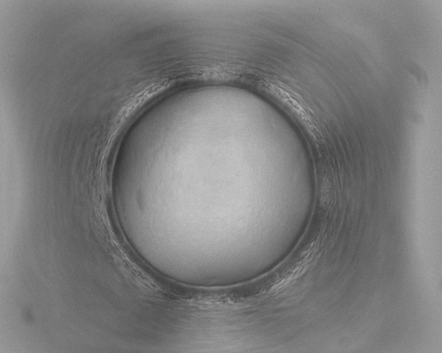 X0000116440673200912221525