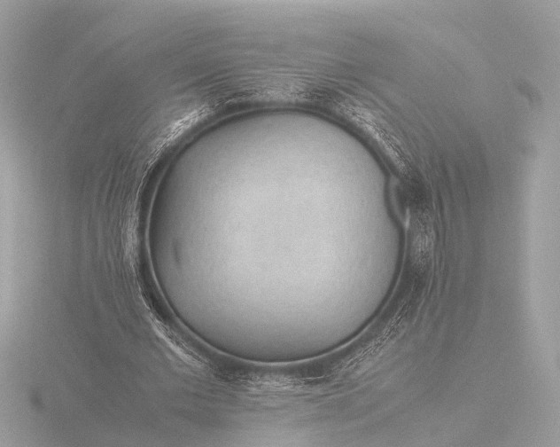 X0000116440677200912221525