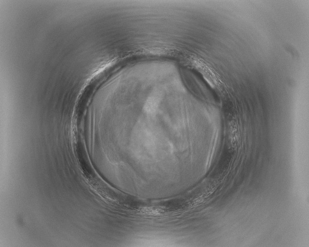 X0000116440680200912221525