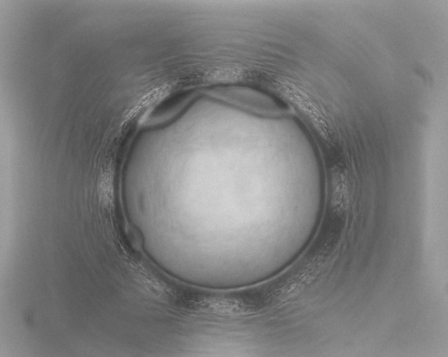 X0000116440681200912221525