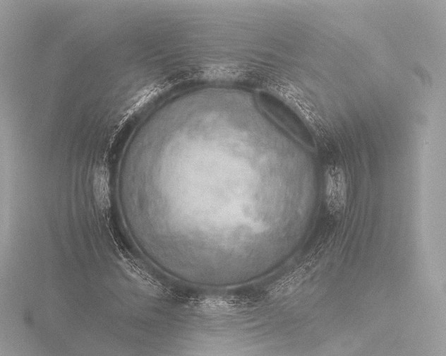 X0000116440684200912221525