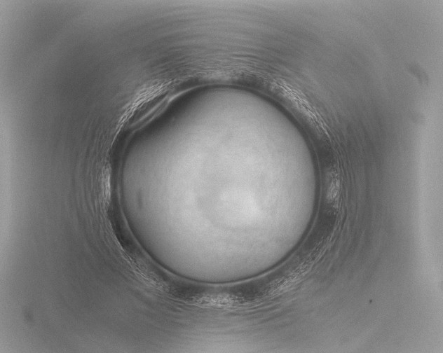 X0000116440685200912221525