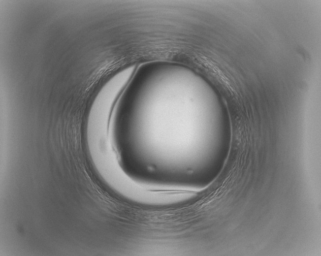 X0000116440693200912221525