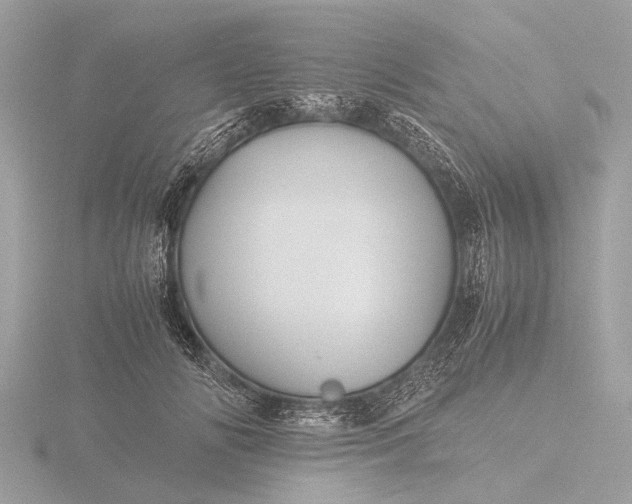 X0000116440702200912221525