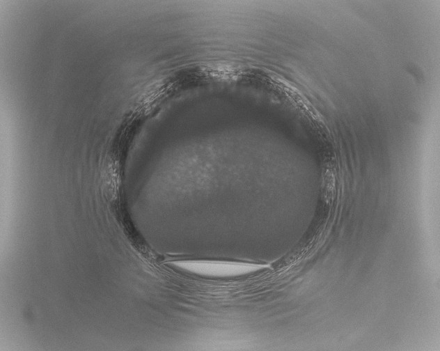 X0000116440707200912221525