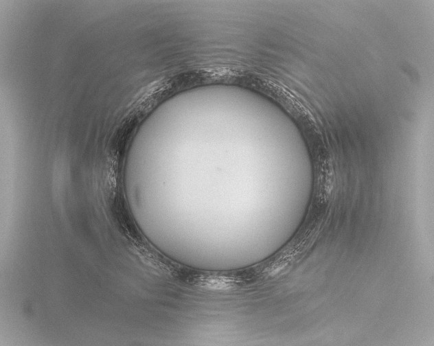 X0000116440710200912221525