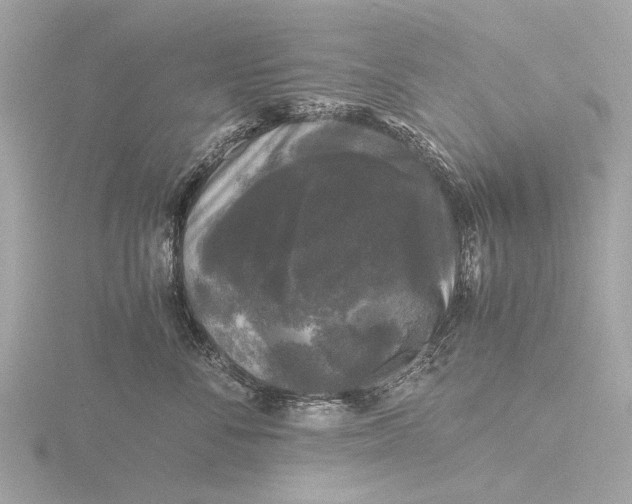 X0000116440716200912221525