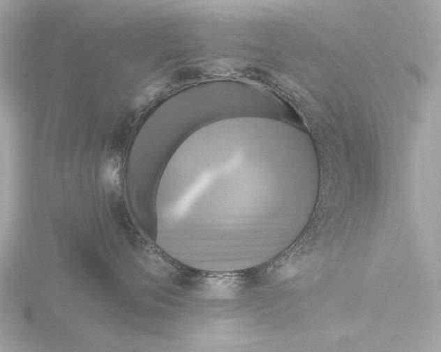X0000116440720200912221525